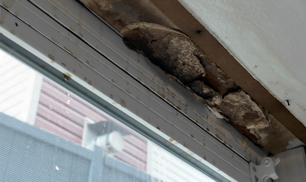 Leaking damaged window